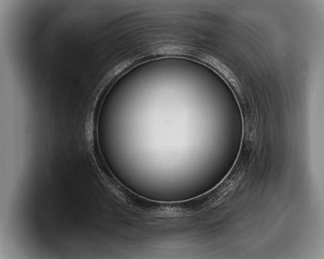 X0000100320437200806051520