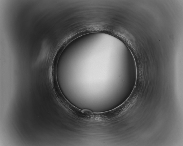 X0000100320439200806051520