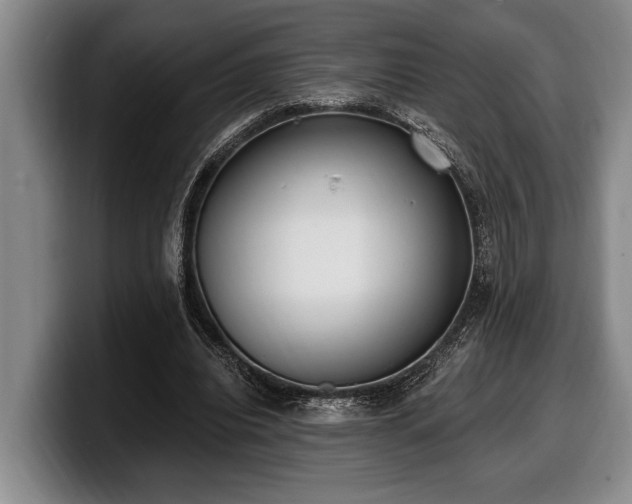 X0000100320440200806051520