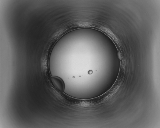 X0000100320441200806051520