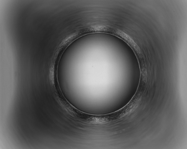 X0000100320442200806051520