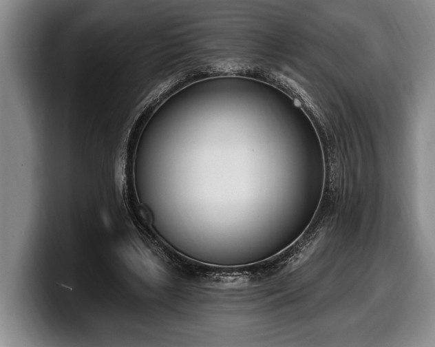 X0000100320443200806051520