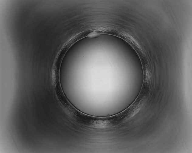 X0000100320444200806051520