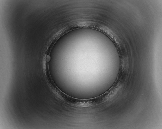 X0000100320445200806051520