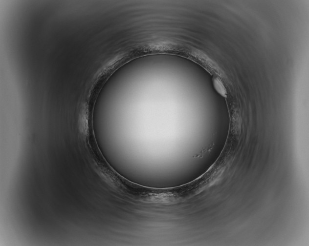 X0000100320446200806051520