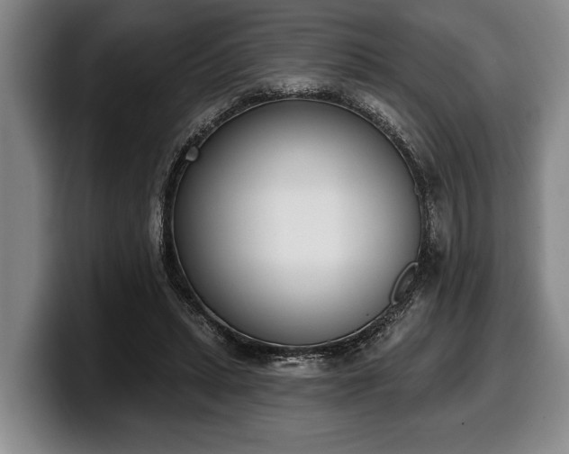 X0000100320447200806051520