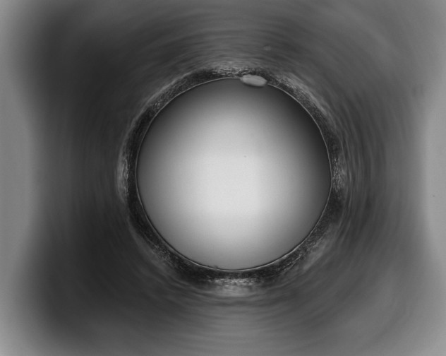 X0000100320448200806051520