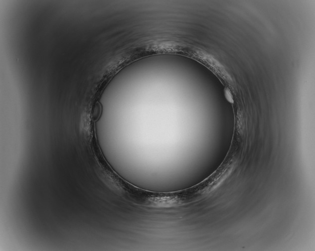 X0000100320449200806051520