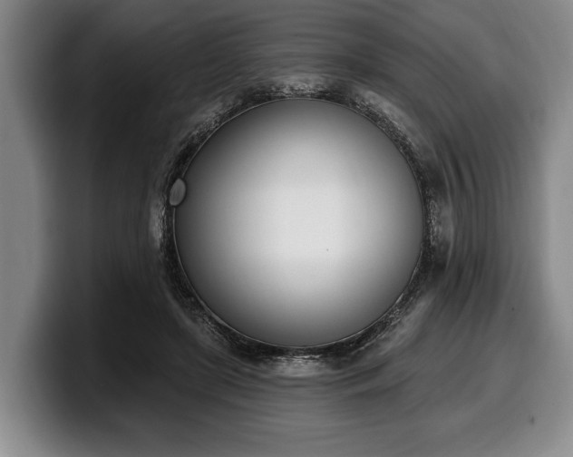 X0000100320451200806051520