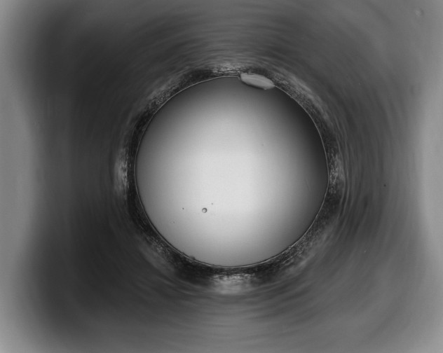 X0000100320452200806051520