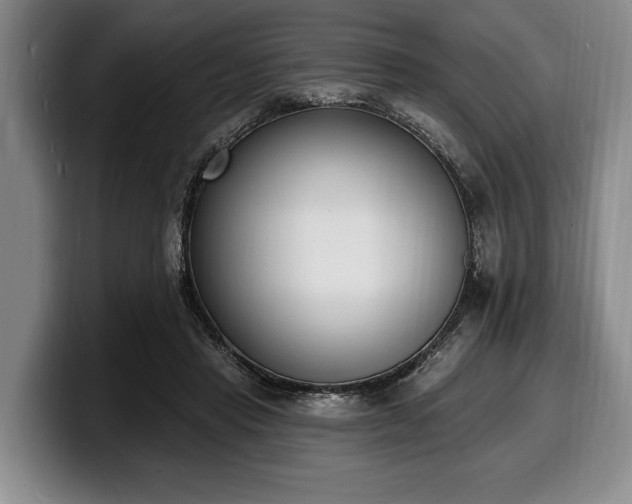 X0000100320453200806051520