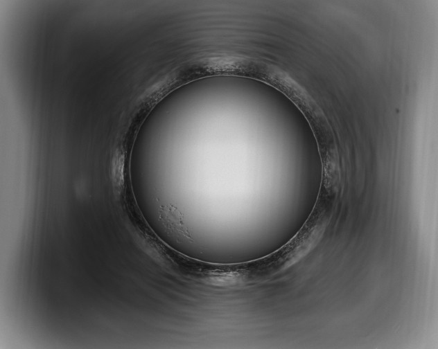 X0000100320454200806051520