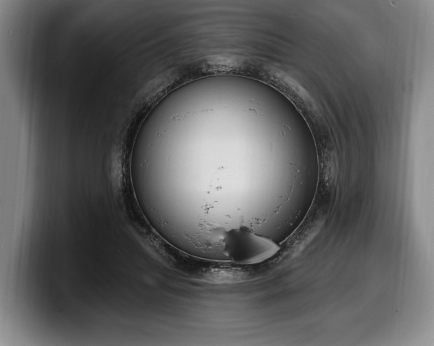 X0000100320455200806051520