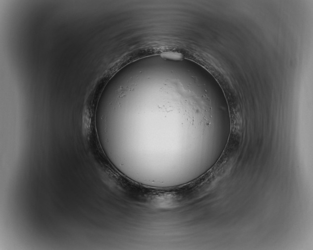 X0000100320456200806051520