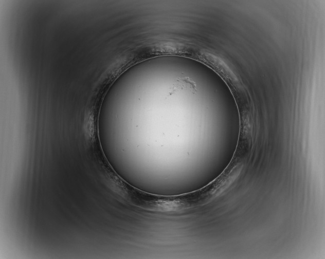 X0000100320457200806051520