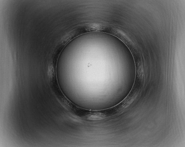 X0000100320459200806051520