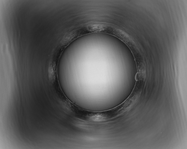 X0000100320460200806051520