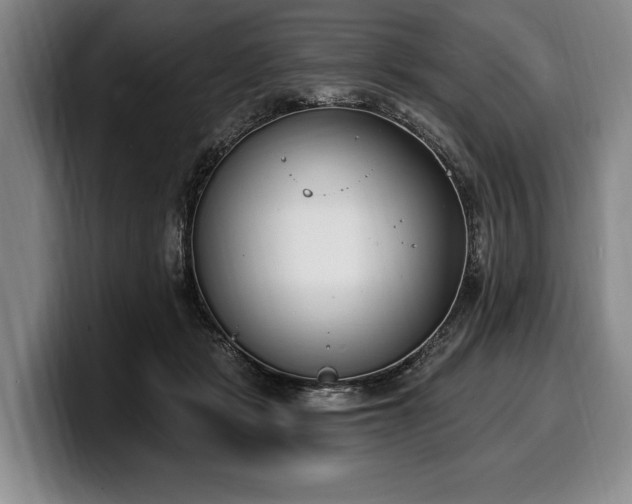 X0000100320461200806051520