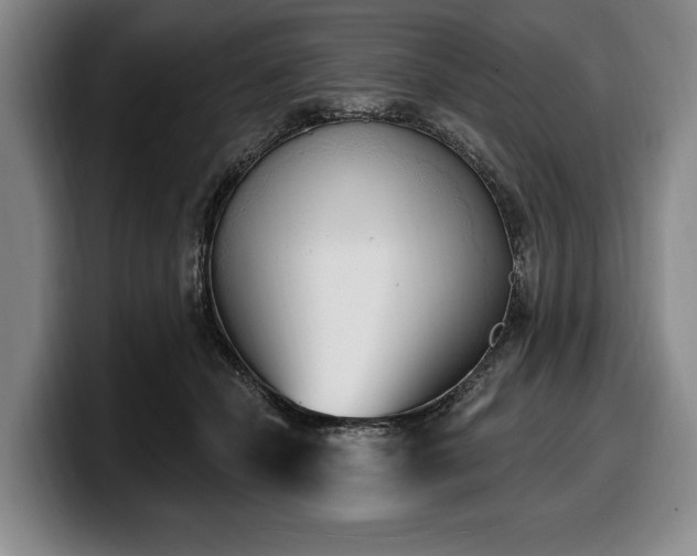 X0000100320462200806051520