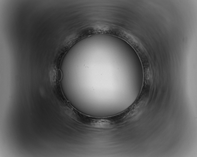 X0000100320463200806051521