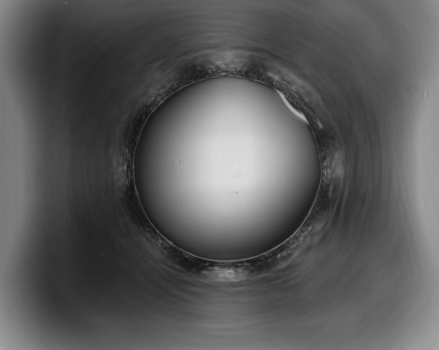 X0000100320464200806051521