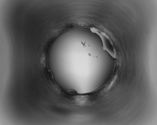 X0000100320465200806051521