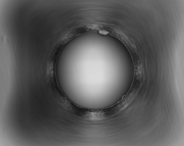 X0000100320466200806051521