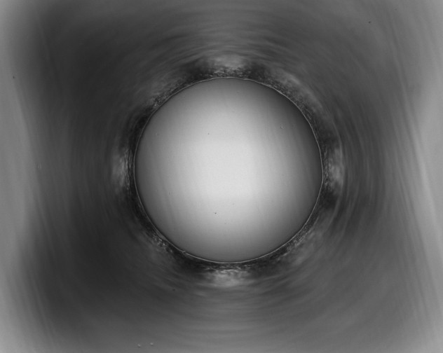 X0000100320468200806051521