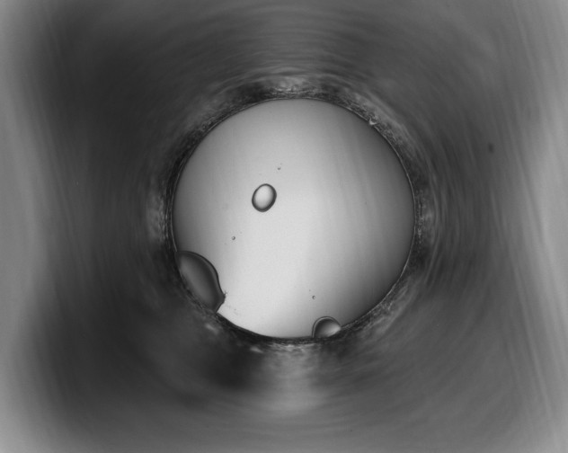 X0000100320469200806051521