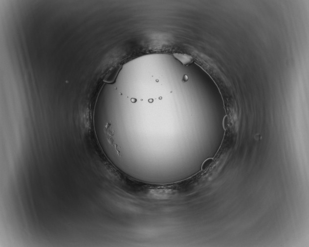 X0000100320470200806051521