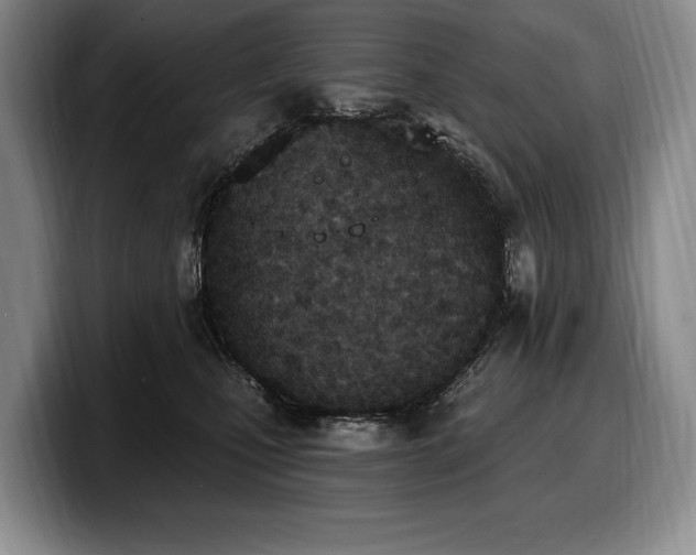 X0000100320471200806051521