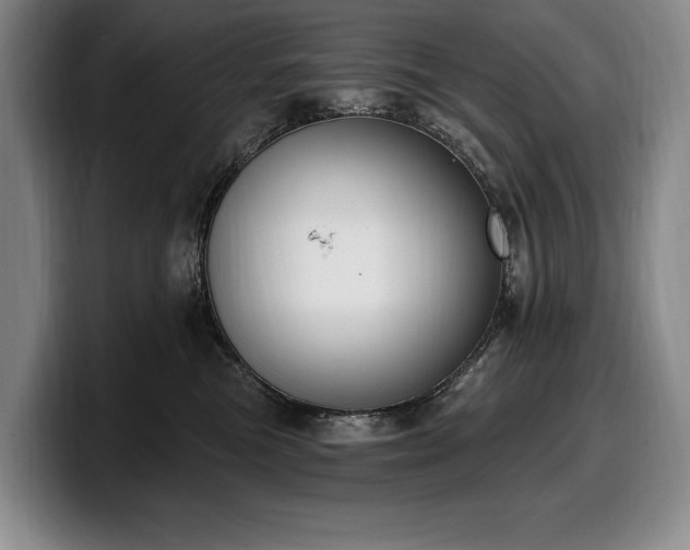 X0000100320473200806051521