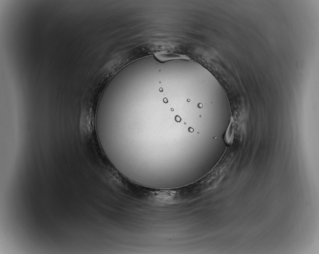 X0000100320474200806051521