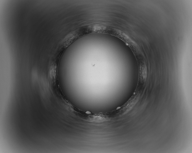 X0000100320475200806051521