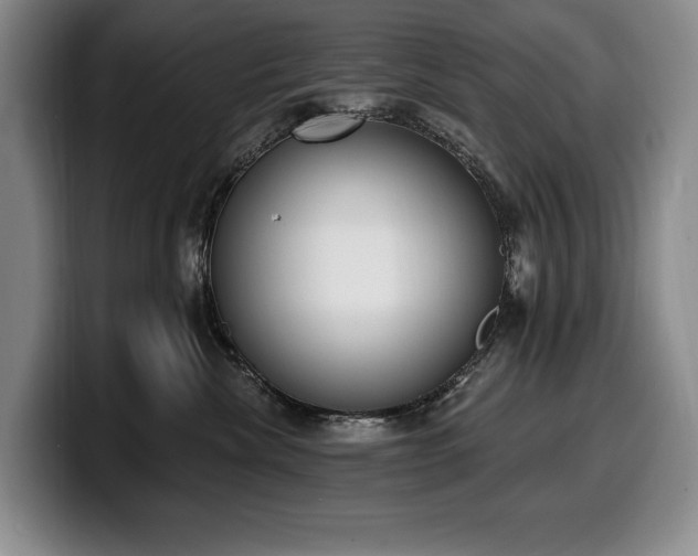 X0000100320476200806051521