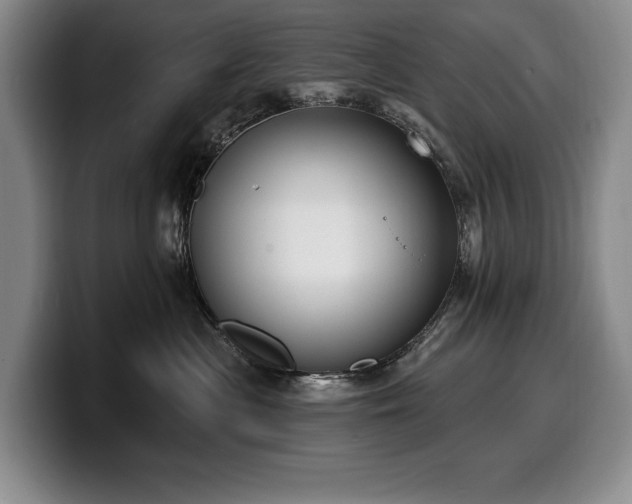 X0000100320477200806051521