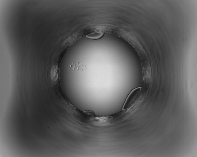 X0000100320478200806051521