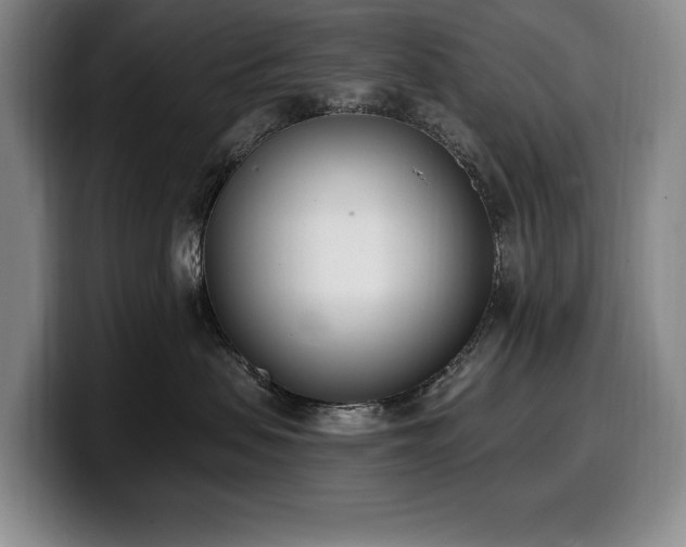 X0000100320479200806051521