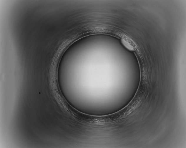 X0000100320481200806051520