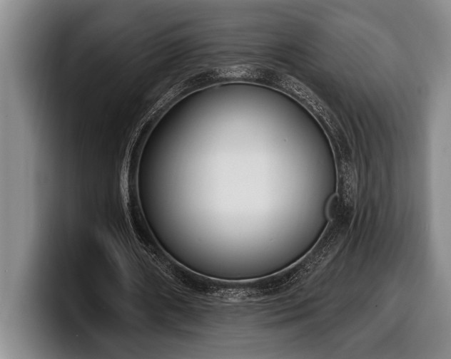 X0000100320482200806051520