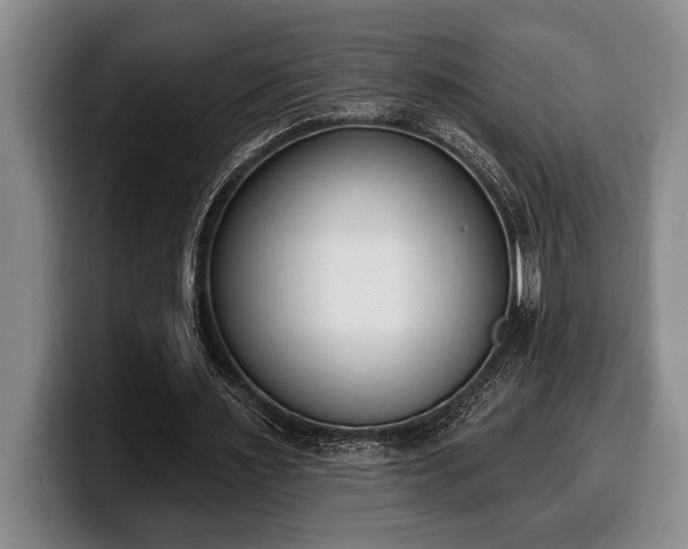 X0000100320483200806051520