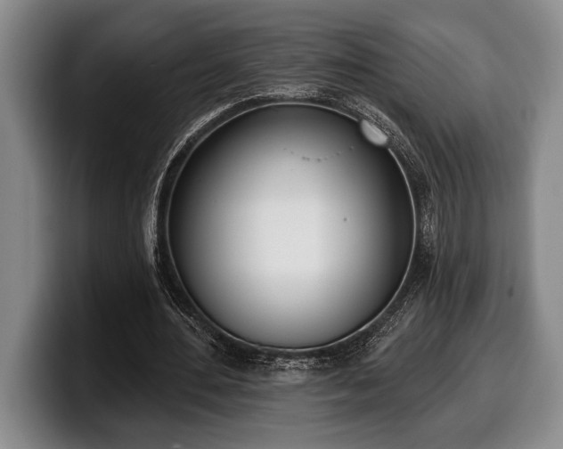 X0000100320484200806051520