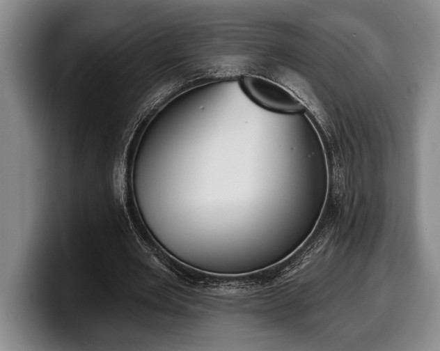 X0000100320485200806051520