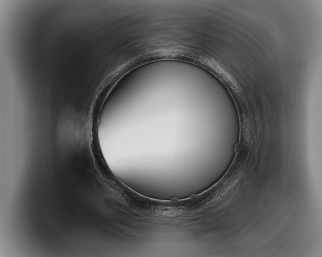 X0000100320486200806051520