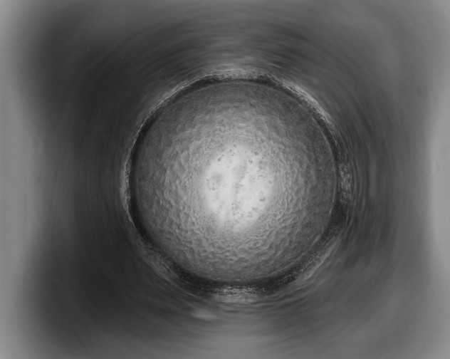 X0000100320487200806051520