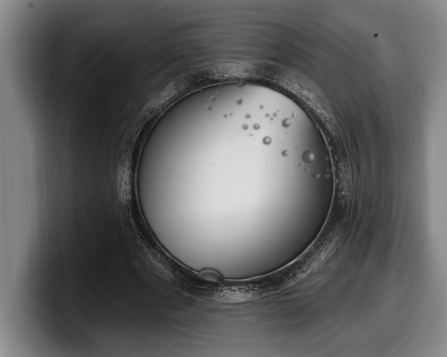 X0000100320489200806051520