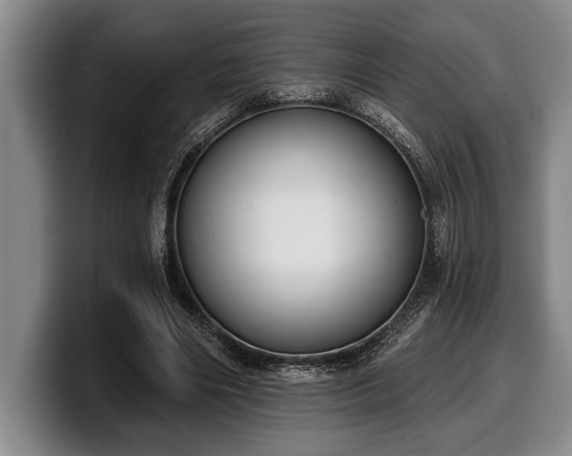 X0000100320490200806051520