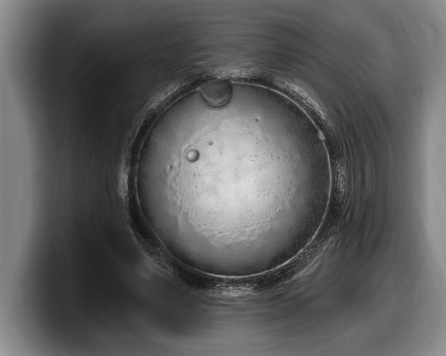 X0000100320491200806051520