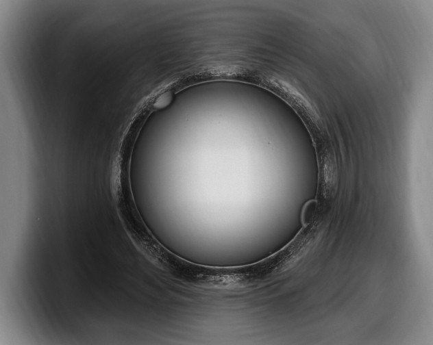 X0000100320492200806051520