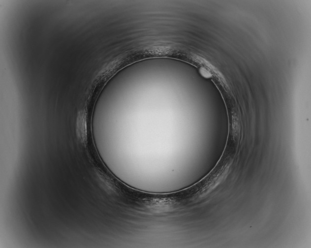 X0000100320493200806051520